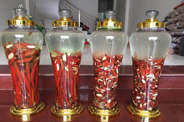 sâm cau ngâm rượu 2