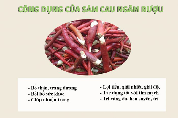 sâm cau ngâm rượu 4