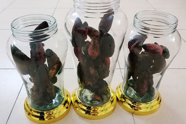 Nấm Ngọc Cẩu ngâm rượu 2