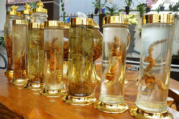 Sâm ngọc linh ngâm rượu 2