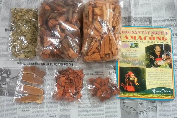 amakong ngâm rượu tại Hà Nội 5