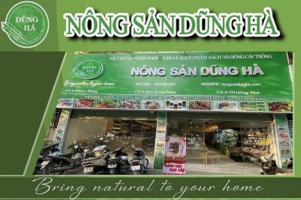 đinh lăng ngâm rượu tại Hà Nội 4 đinh lăng ngâm rượu tại Hà Nội 4