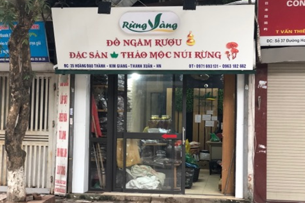 đinh lăng ngâm rượu tại Hà Nội 5 đinh lăng ngâm rượu tại Hà Nội 5