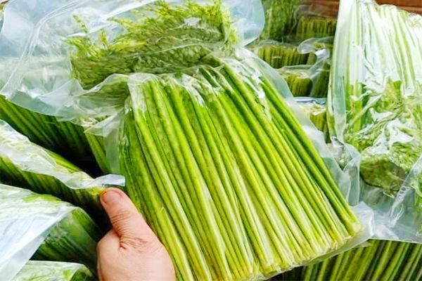 đòng đòng ngâm rượu tại Hà Nội 5