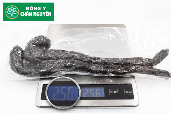 nhục thung dung ngâm rượu tại Hà Nội 3