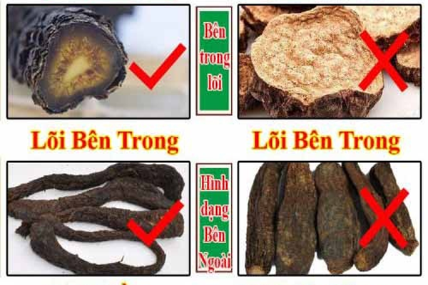 nhục thung dung ngâm rượu tại Hà Nội 7
