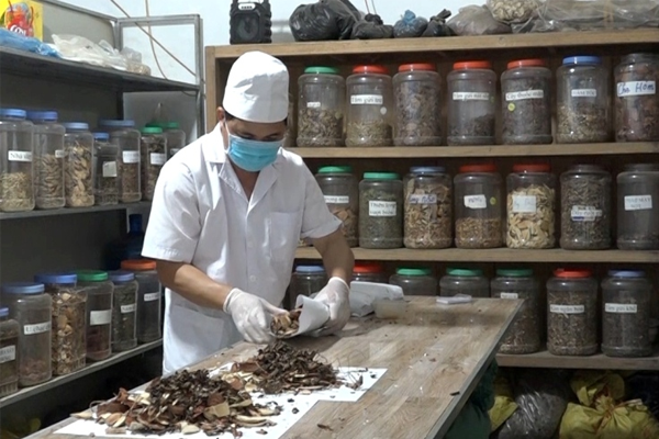 sâm cau ngâm rượu tại Hà Nội 6 sâm cau ngâm rượu tại Hà Nội 6