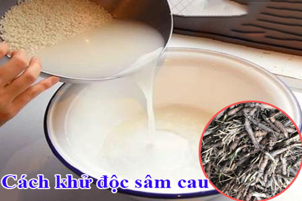 sâm cau ngâm rượu tại Hà Nội 7 sâm cau ngâm rượu tại Hà Nội 7