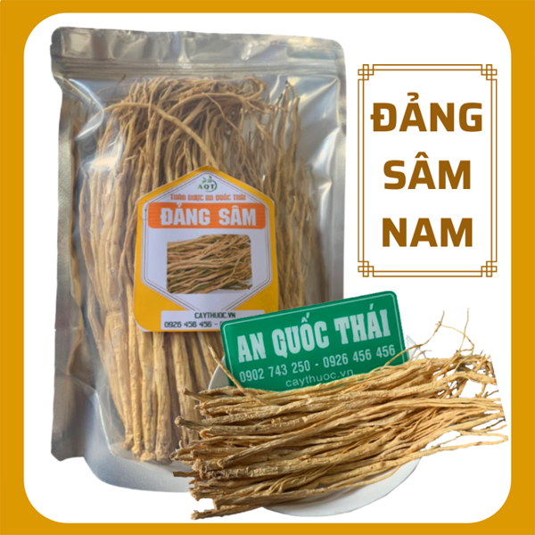 đẳng sâm ngâm rượu tại TP Hồ Chí Minh 5