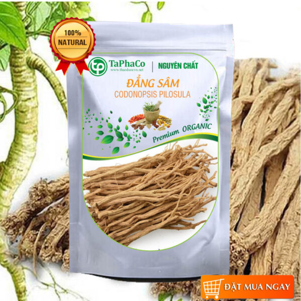 đẳng sâm ngâm rượu tại TP Hồ Chí Minh 6