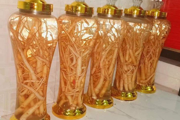 đẳng sâm ngâm rượu tại TP Hồ Chí Minh 8