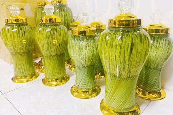 đòng đòng ngâm rượu tại TP Hồ Chí Minh 1