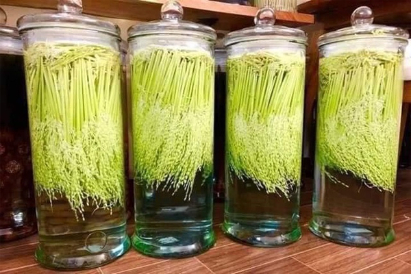 đòng đòng ngâm rượu tại TP Hồ Chí Minh 2