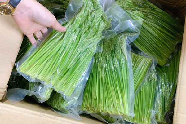đòng đòng ngâm rượu tại TP Hồ Chí Minh 3