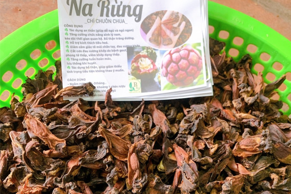 na rừng ngâm rượu tại Hà Nội 6