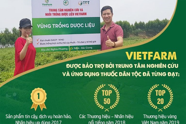 nấm lim xanh ngâm rượu tại TP Hồ Chí Minh 5