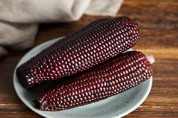 ngô tím ngâm rượu tại TP Hồ Chí Minh 6 ngô tím ngâm rượu tại TP Hồ Chí Minh 6