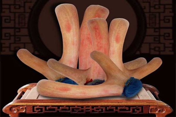 nhung hươu ngâm rượu tại Đà Nẵng 6 nhung hươu ngâm rượu tại Đà Nẵng 6