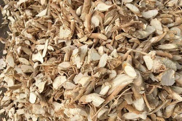 đinh lăng ngâm rượu tại Hải Phòng 6 đinh lăng ngâm rượu tại Hải Phòng 6